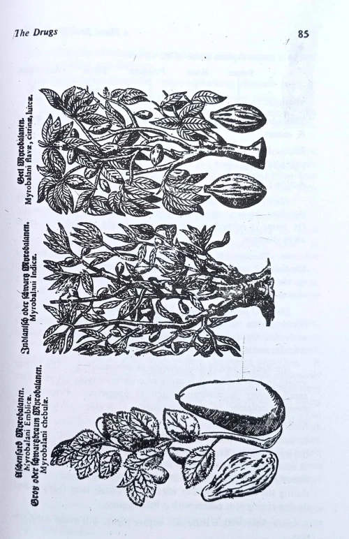 A Hand Book Of Ayurveda